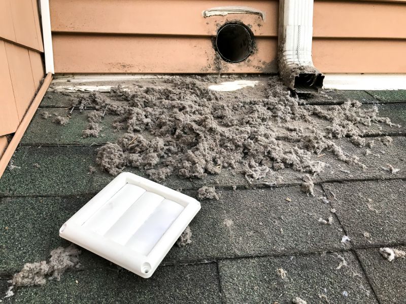 Attic Vent Cleaning
